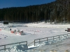 pokljuka-11