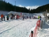 pokljuka-12